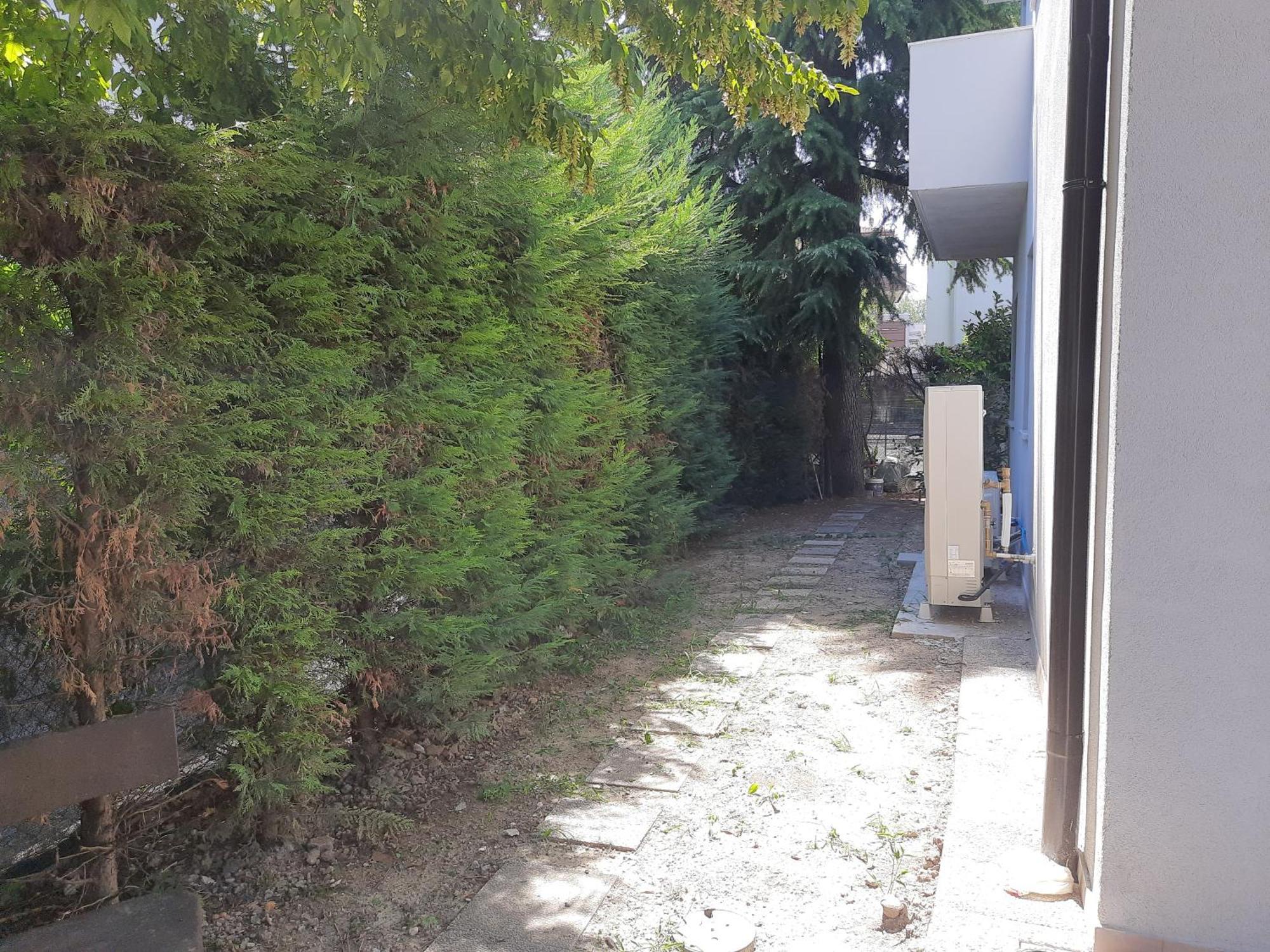 Spazioso Appartamento In Casa Singola Padova Con Giardino Exterior foto